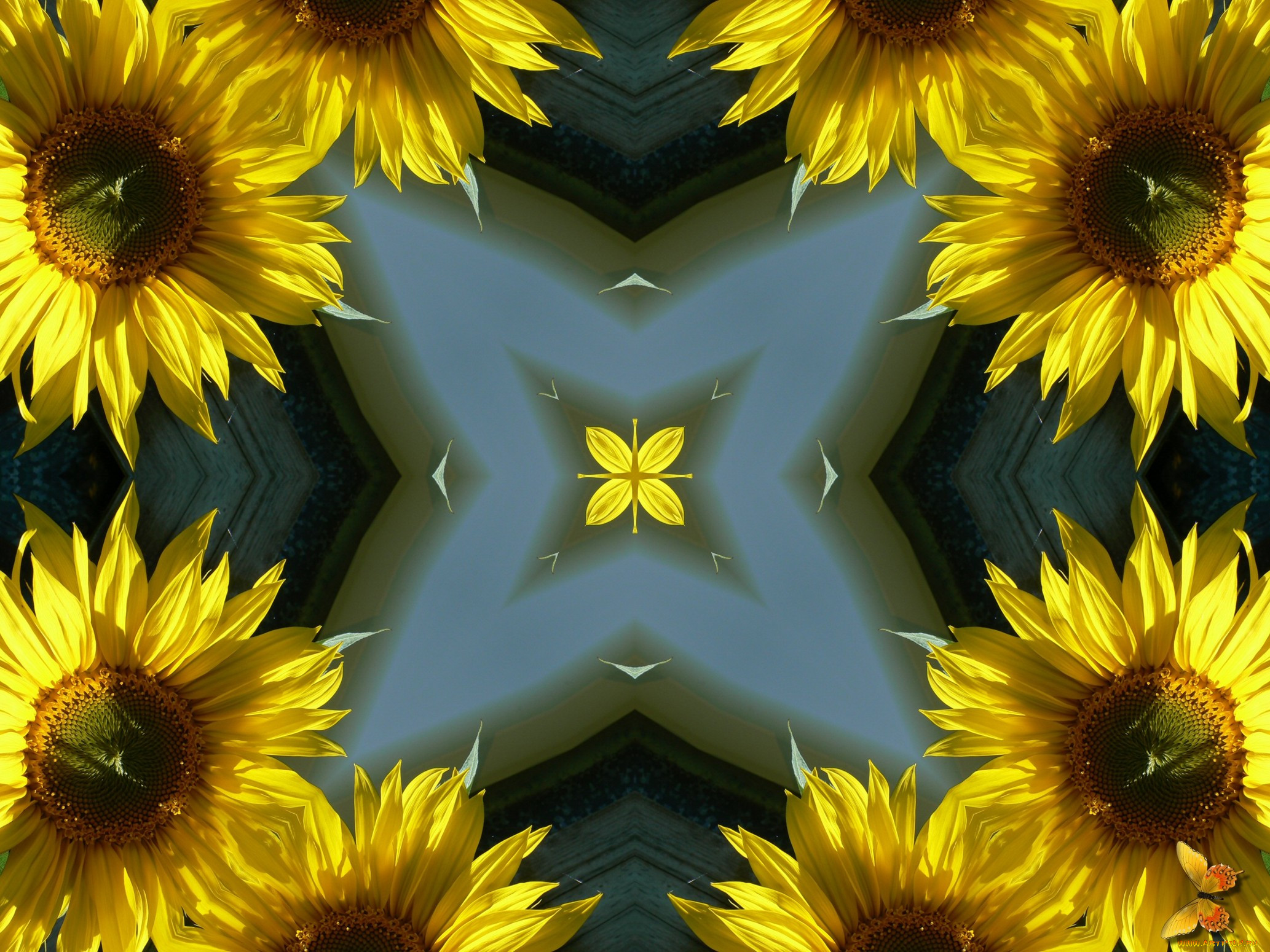 , 